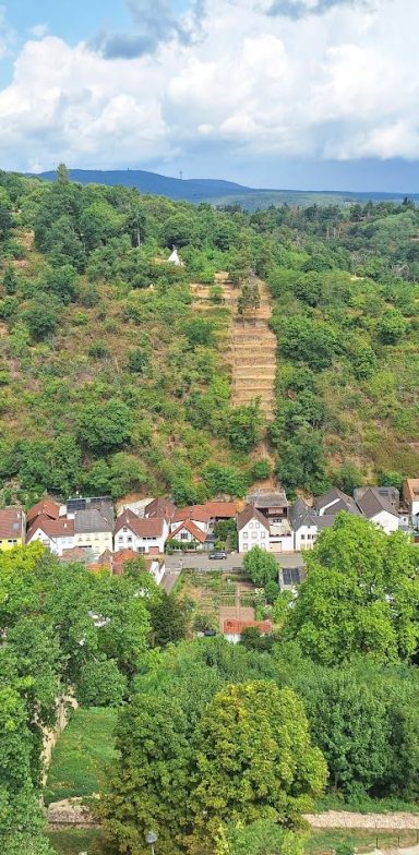 Wachenheiim Panorama mit hügeliger Landschaft, bewaldeten Flächen und einem ruhigen Dorf am Fuße des Hügels.